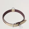 Großes Lederhalsband Dune & Oxblood Small Classic Grain
