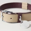 Großes Lederhalsband Dune & Oxblood Small Classic Grain
