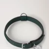 Großes Lederhalsband für Hunde, Mulberry Green, kleine klassische Narbung Großes Lederhalsband für Hunde, Mulberry Green, kleine klassische Narbung