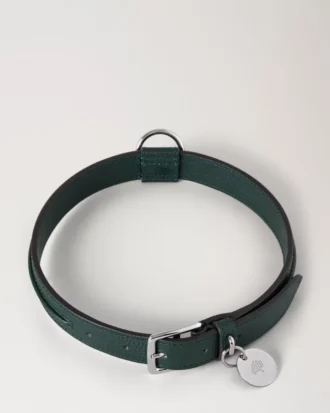 Großes Lederhalsband für Hunde, Mulberry Green, kleine klassische Narbung