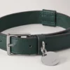 Großes Lederhalsband für Hunde, Mulberry Green, kleine klassische Narbung Großes Lederhalsband für Hunde, Mulberry Green, kleine klassische Narbung