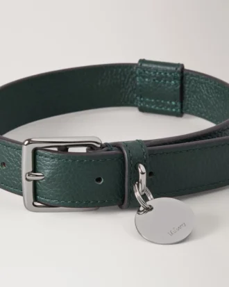 Großes Lederhalsband für Hunde, Mulberry Green, kleine klassische Narbung