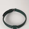 Großes Lederhalsband für Hunde, Mulberry Green, kleine klassische Narbung Großes Lederhalsband für Hunde, Mulberry Green, kleine klassische Narbung