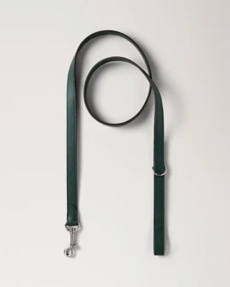 Handleine für Hunde, Mulberry Green, klein, klassische Narbung