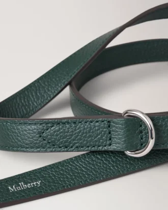 Handleine für Hunde, Mulberry Green, klein, klassische Narbung