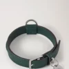 Kleines Hundehalsband aus Leder, Mulberry Green, kleine klassische Narbung Kleines Hundehalsband aus Leder, Mulberry Green, kleine klassische Narbung
