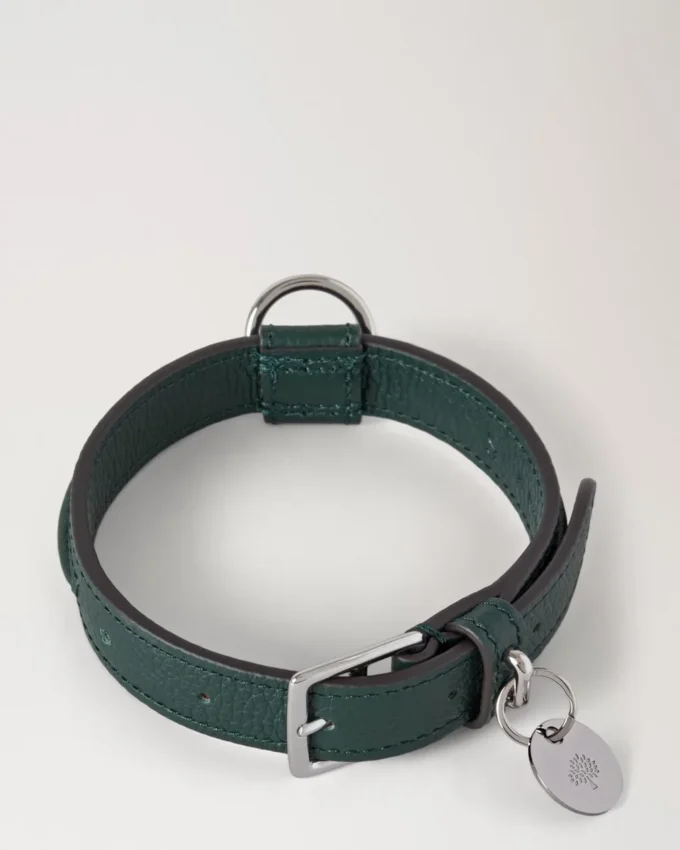Kleines Hundehalsband aus Leder, Mulberry Green, kleine klassische Narbung Kleines Hundehalsband aus Leder, Mulberry Green, kleine klassische Narbung