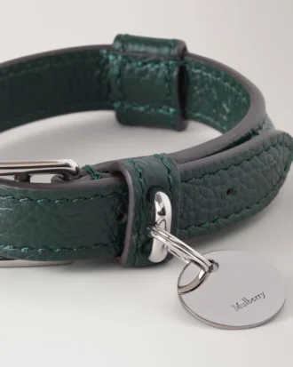 Kleines Hundehalsband aus Leder, Mulberry Green, kleine klassische Narbung
