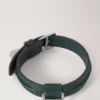 Kleines Hundehalsband aus Leder, Mulberry Green, kleine klassische Narbung Kleines Hundehalsband aus Leder, Mulberry Green, kleine klassische Narbung