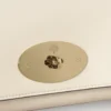 Lily Clutch in Eierschalenfarbe, butterweiches Nappaleder, Damen