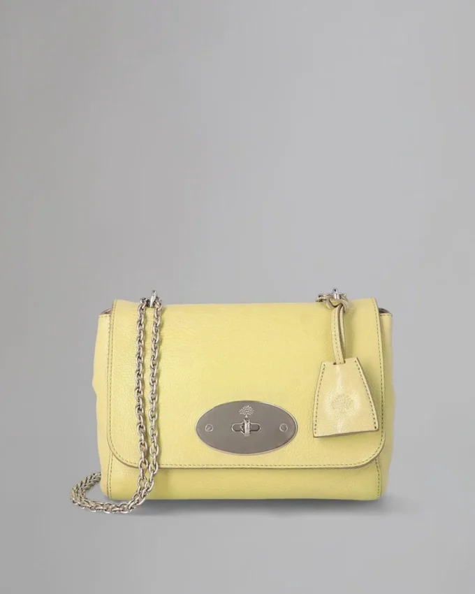 Lily Pre-Loved Pistachio Glänzendes Ziegenleder Pre-Loved-Taschen Lily Pre-Loved Pistachio Glänzendes Ziegenleder Pre-Loved-Taschen