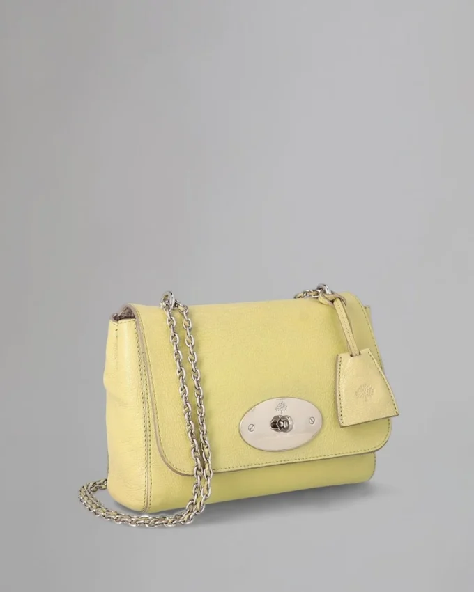 Lily Pre-Loved Pistachio Glänzendes Ziegenleder Pre-Loved-Taschen Lily Pre-Loved Pistachio Glänzendes Ziegenleder Pre-Loved-Taschen