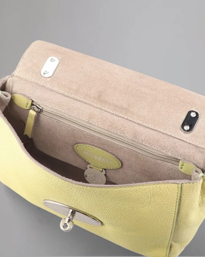 Lily Pre-Loved Pistachio Glänzendes Ziegenleder Pre-Loved-Taschen Lily Pre-Loved Pistachio Glänzendes Ziegenleder Pre-Loved-Taschen