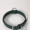 Mittleres Hundehalsband aus Leder, Mulberry Green, kleine klassische Narbung Mittleres Hundehalsband aus Leder, Mulberry Green, kleine klassische Narbung
