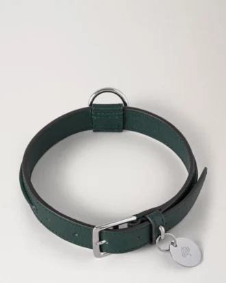 Mittleres Hundehalsband aus Leder, Mulberry Green, kleine klassische Narbung