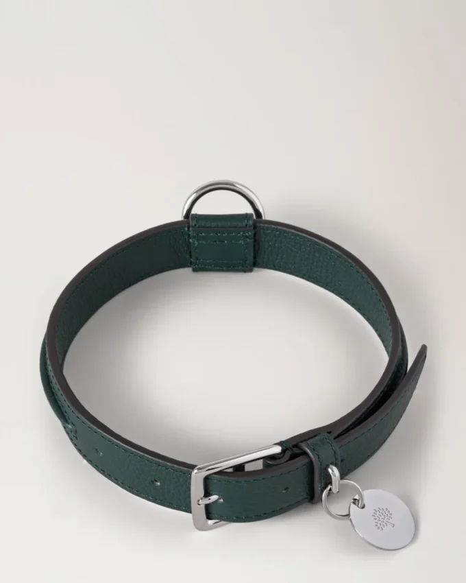 Mittleres Hundehalsband aus Leder, Mulberry Green, kleine klassische Narbung Mittleres Hundehalsband aus Leder, Mulberry Green, kleine klassische Narbung