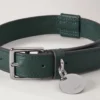 Mittleres Hundehalsband aus Leder, Mulberry Green, kleine klassische Narbung Mittleres Hundehalsband aus Leder, Mulberry Green, kleine klassische Narbung