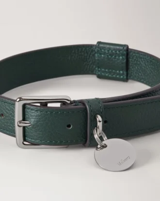 Mittleres Hundehalsband aus Leder, Mulberry Green, kleine klassische Narbung