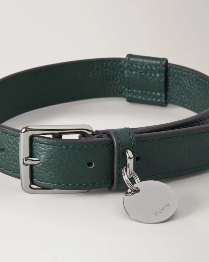 Mittleres Hundehalsband aus Leder, Mulberry Green, kleine klassische Narbung Mittleres Hundehalsband aus Leder, Mulberry Green, kleine klassische Narbung