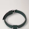 Mittleres Hundehalsband aus Leder, Mulberry Green, kleine klassische Narbung Mittleres Hundehalsband aus Leder, Mulberry Green, kleine klassische Narbung
