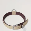 Mittleres Lederhalsband Dune & Oxblood Small Classic Grain Mittleres Lederhalsband Dune & Oxblood Small Classic Grain