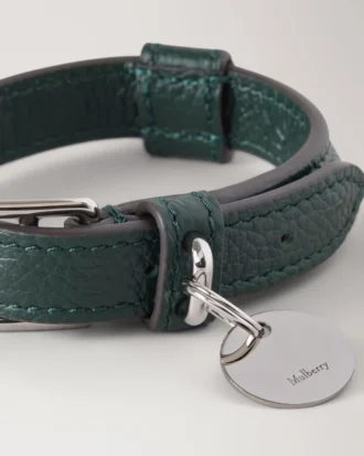 Xs Lederhalsband Mulberry Green Small Classic Grain